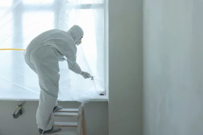 Painted living space